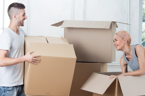 Professional loading support for a Brixton move